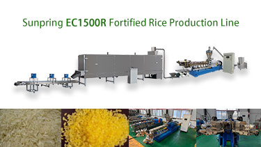 EC1500R-Fortified-Rice-Production-Line