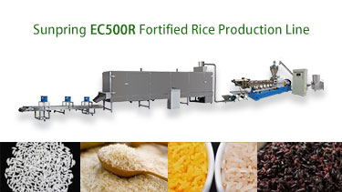 EC500R-Fortified-Rice-Production-Line